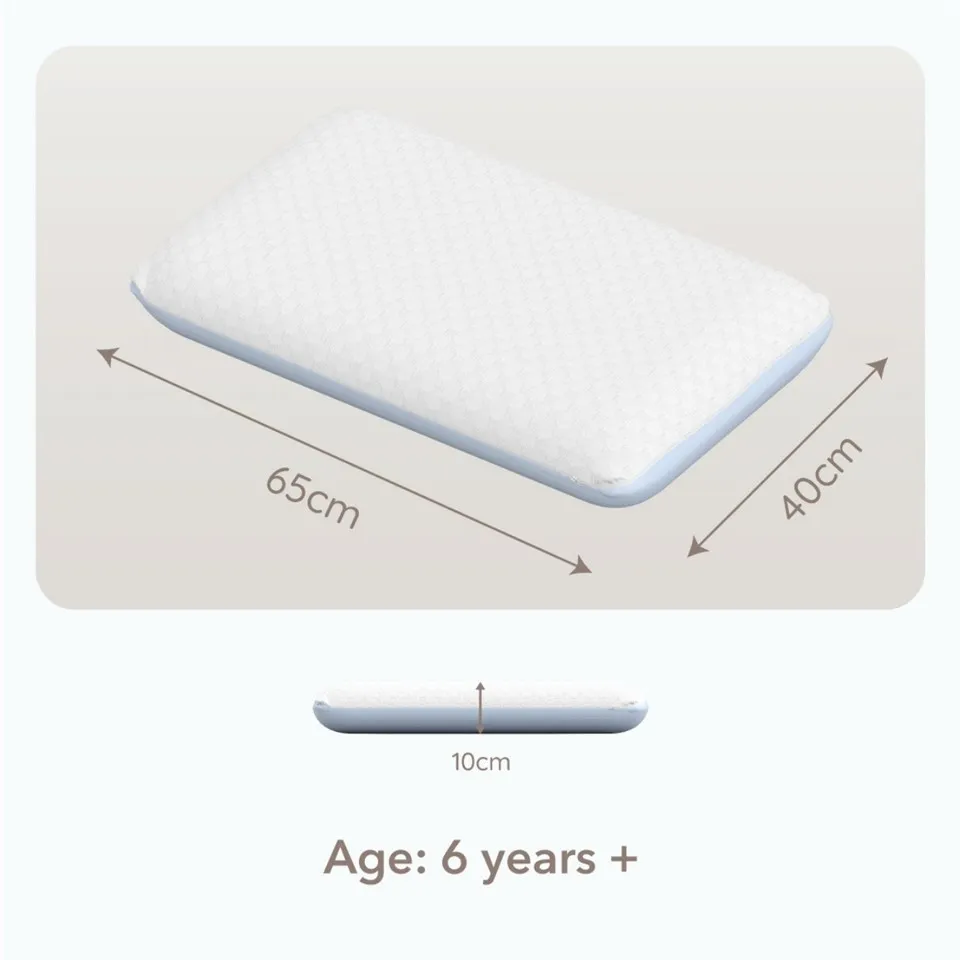 Cool Dreamer Memory Foam Pillow factory