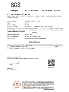 SGS BL-LES(AS 4688) AJHL2404001323FT conv 1