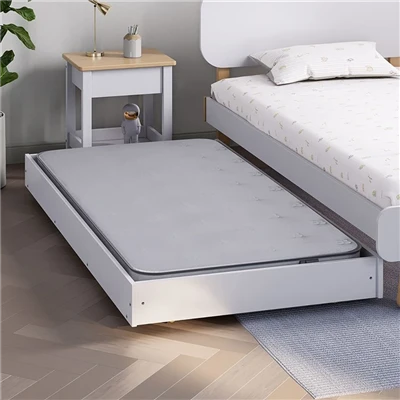Kids Trundle Bed With Mattress